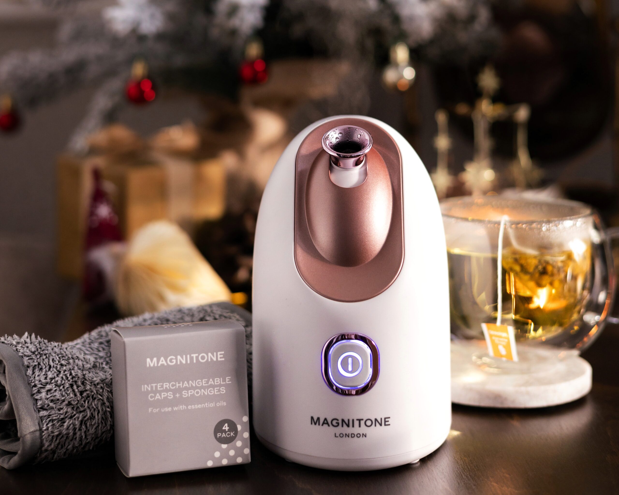 Christmas gift ideas MAGNITONE steamer